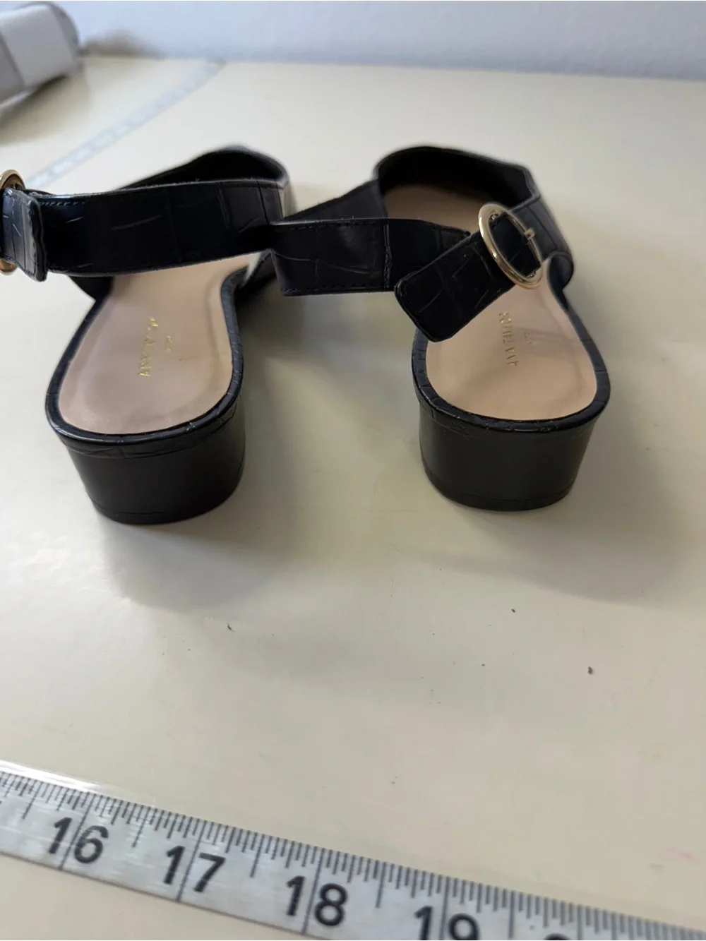 Ann Taylor sleek pointed